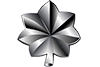 Lieutenant Colonel rank insignia