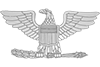 Colonel rank insignia