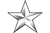 Brigadier General rank insignia