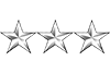 Lieutenant General rank insignia